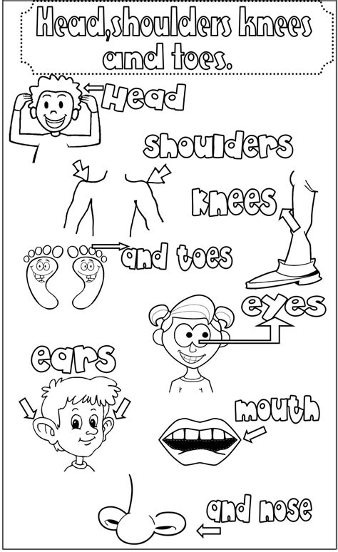 Partes Del Cuerpo En Ingles 6