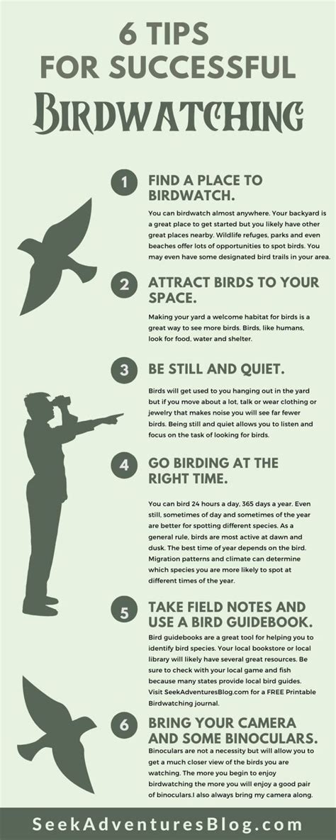 Birdwatching Tips for Beginners | Free Printable Birdwatching Journal ...