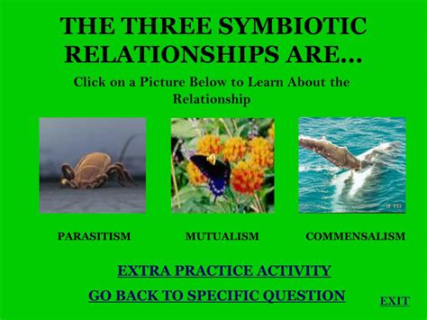 PPT - Symbiotic Relationships PowerPoint Presentation, free download ...