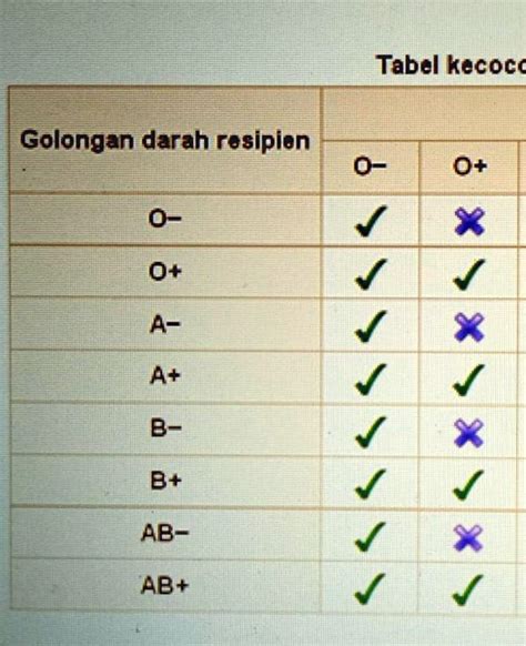 Solved Gambar Di Atas Merupakan Tabel Kecocokan Darah Rbc Golongan