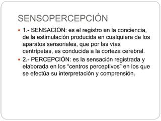 Sensopercepci N Ppt