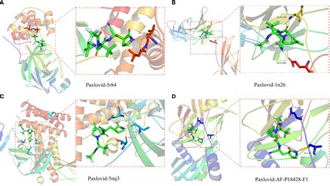 Frontiers Network Pharmacology And Bioinformatics Analysis Identifies