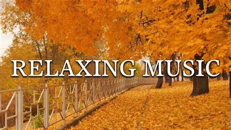 Beautiful Relaxing Music • Peaceful Piano Music And Guitar Music Sunny