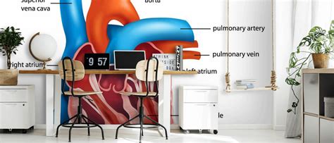 Human Heart Anatomy Wallpaper Mural | Wallsauce NZ