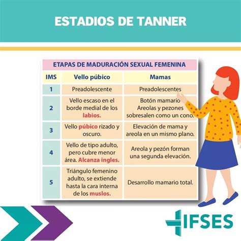 Clasificacion De Tanner Fiteranmapa