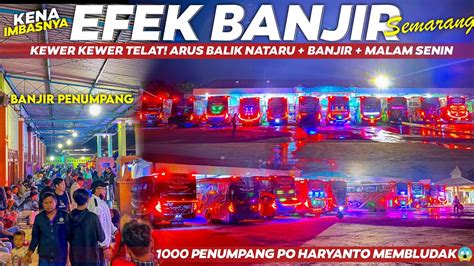 Penumpang Po Haryanto Membeludak Jadi Lautan Manusia Telat Efek