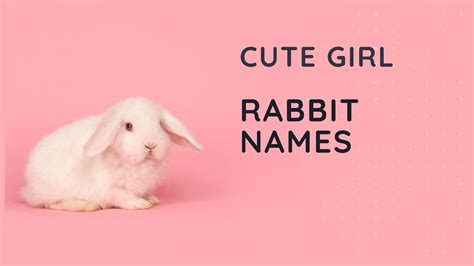 Cute Girl Rabbit Names For Your Pet Bunny Youtube