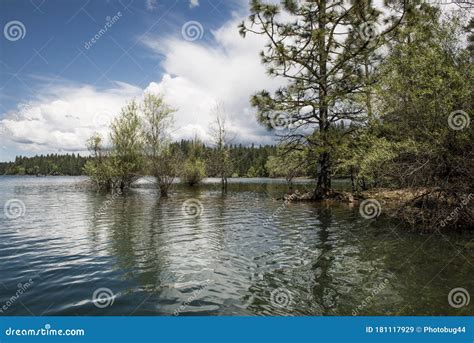 Summer Waters Shimmer On Beautiful Lake Stock Image Image Of Green