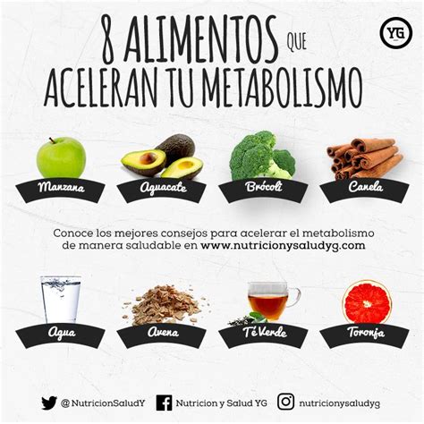 Cómo acelerar el metabolismo y perder peso Nutrición y Salud YG