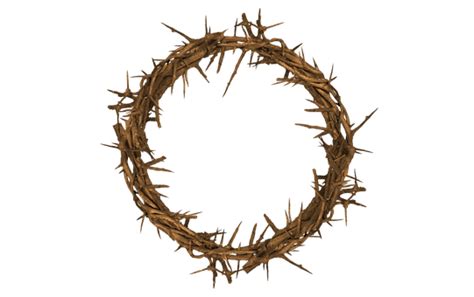 20 Free Crown Of Thorns And Jesus Illustrations Pixabay