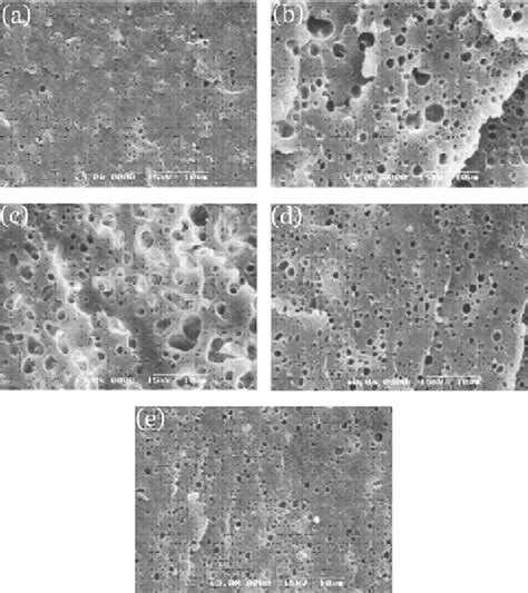 Sem Images Of Fracture Surfaces Of Nylon Evm Eva G Mah Blends A