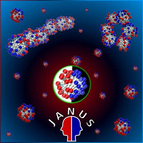 Electrostatic Driven Self Assembly Of Janus Like Monolayer Protected