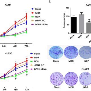 Cell Cycle Change After Nedaplatin Treatment And Knockdown Of MVIH A