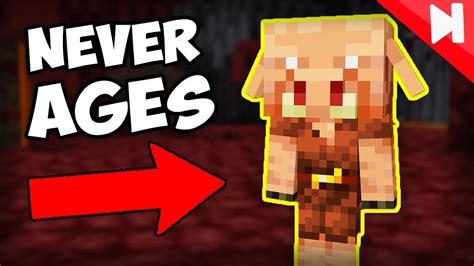 Top Curiosidades Do Minecraft Youtube