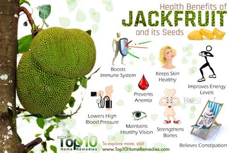 What Makes Jackfruit Good For You Health Benefits And Nutritional Facts Top 10 Home Remedies