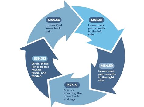 Icd 10 Codes For Back Pain Expert Insights