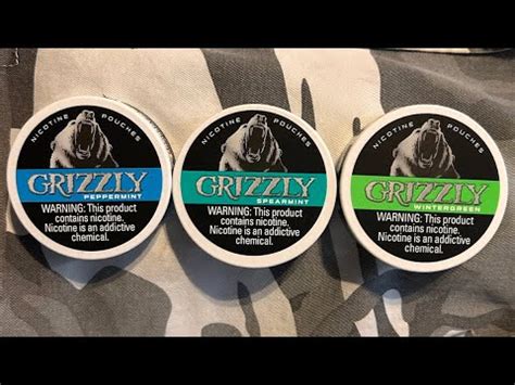 Grizzly Nicotine Pouches Us Market Review Youtube