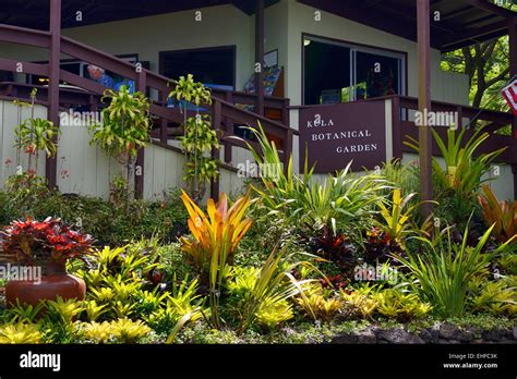 entrance to Kula Botanical Garden, Kula, Maui, Hawaii, USA Stock Photo ...