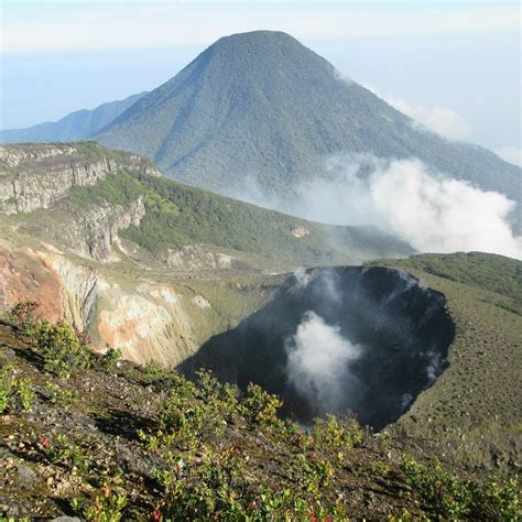 Taman Nasional Gunung Gede Pangrango Bogor Indonesia Review