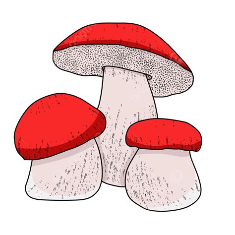 Cute Mushroom Illustration Mushrooms Mold Fungus Draw Png