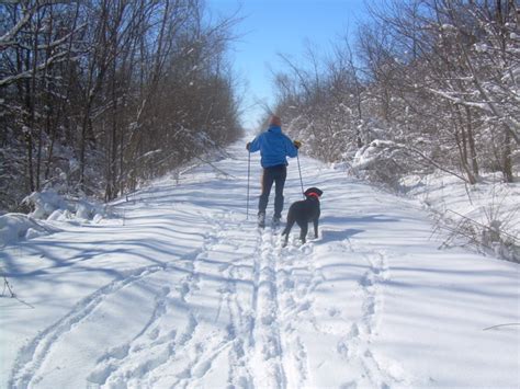 Five Fun Winter Activities in Iowa - Iowa Natural Heritage Foundation