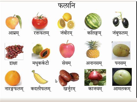 Fruits And Vegetables Names In Hindi English Lessons