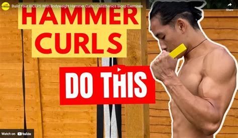 Hammer Curls| What Are They? Muscles Worked? Benefits?| Gymless