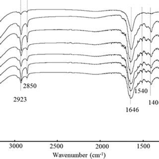 Thermogravimetric Curves Of Pvc Film Mwnts Pvc And Mwnts O Ppta