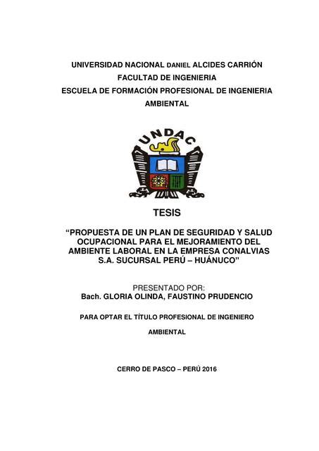 Plan De Salud Y Seguridad Ocupacional Fernando Laguna Mena UDocz