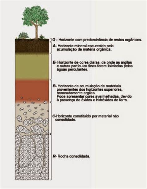 BIBOCA AMBIENTAL BIOLOGIA DO SOLO