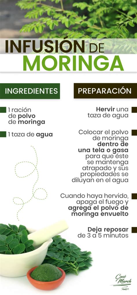 Qual O Melhor Horário Para Tomar Moringa - Cómo Tomar Moringa De Forma Fácil y Efectiva | Coco March