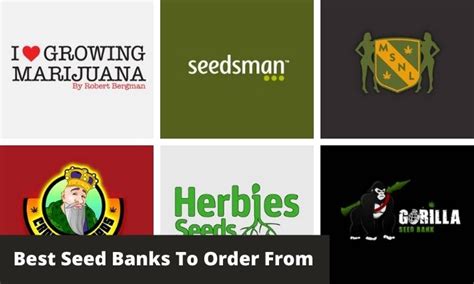 Best Seed Banks That Ship To The Usa Update