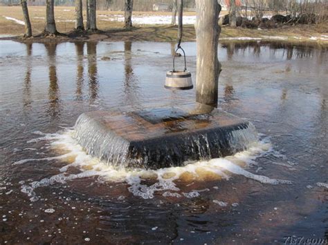 Tuhala Witchs Well