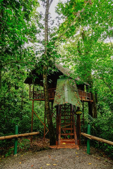 The Best Tree Houses In The World Part 1 The Best Tree Houses In The