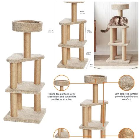 19 Best Cat Climber For Your Cat | Simple But How