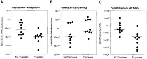 Pattern of provirus gene expression. (A and B) The graphs show the ...