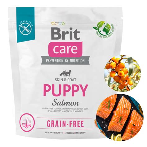 Karma Sucha Brit Care Puppy Salmon 1kg Łosoś 13179720162 Allegro pl