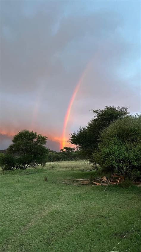 Great Lodge In Serengeti Outstanding Service Review Of Signature