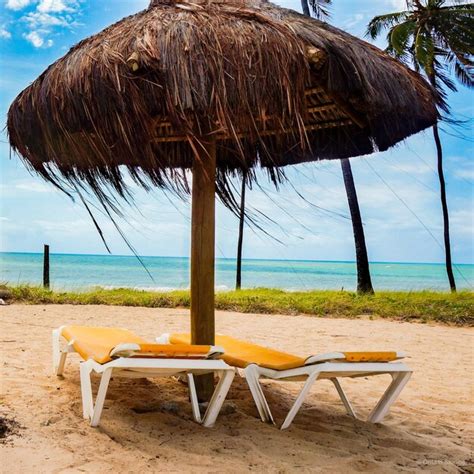 Premium Photo Thatched Roof And Deck Chairs At Beach Against Sky