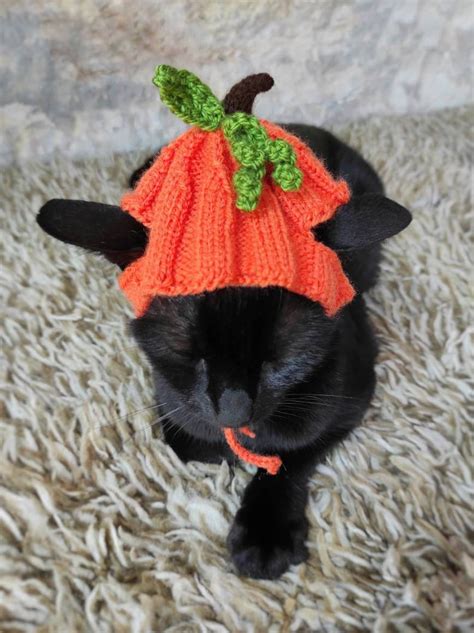 Pumpkin Hat for Cat Pumpkin Pet Costume Halloween Costume | Etsy