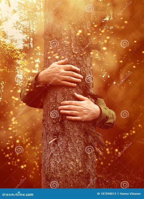 Hands Hugging A Tree In Mystical Forest Stock Photo Image Of Love