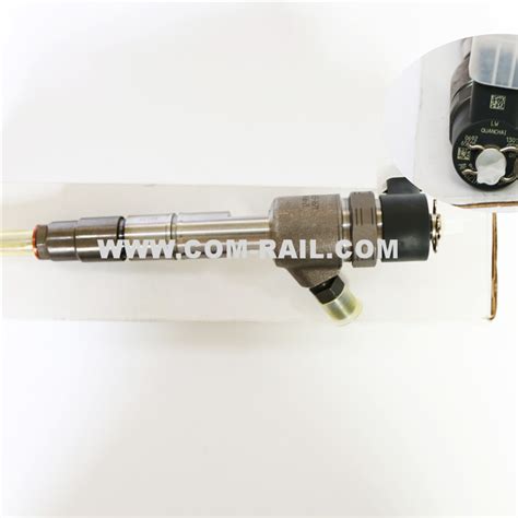 Best Bosch 0445110787 Common Rail Injector Manufacturer And Factory