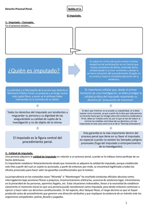 Derecho Procesal Penal El Imputado Derecho Procesal Penal Bolilla