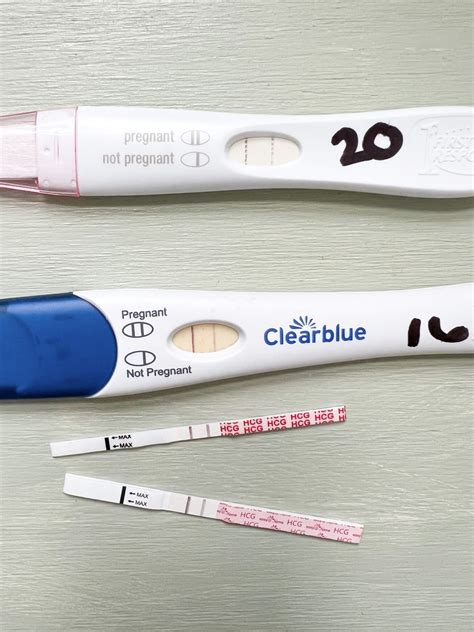 What is a Dye Stealer Pregnancy Test and What Does it Look Like