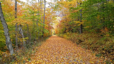 The colors of Fall. Mt. Greylock, Massachusetts [OC] [1560x878] : r ...