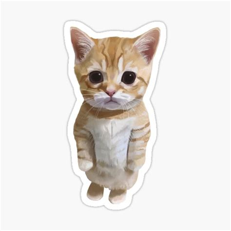 "Cute Cat Meme" Sticker for Sale by Mashz | Redbubble