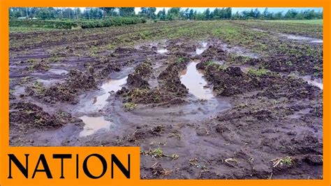 Nakuru Farmers Count Losses After Floods Destroyed Their Crops Youtube