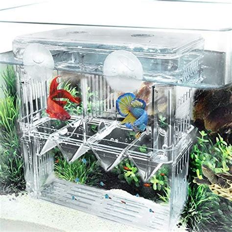 Amazon 4 Rooms HD Fish Breeding Box Aquarium Breeding Box