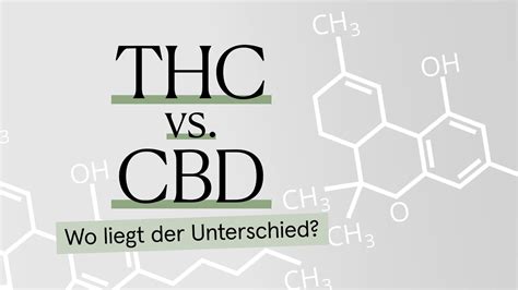 THC Vs CBD Was Ist Der Unterschied YouTube