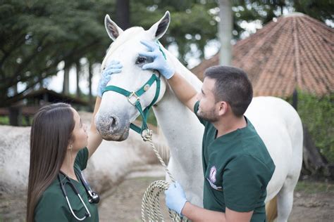 Medicina Veterinaria Y Zootecnia 3 Institución Universitaria Visión